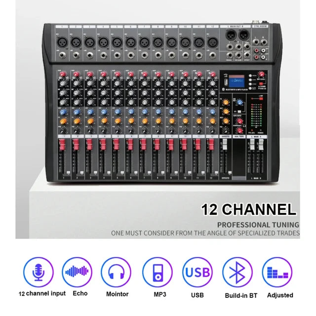 Hridz 12 Channel Mixing Console Live Studio Audio DJ Mixer Sound Board USB Interface - HRIDZ