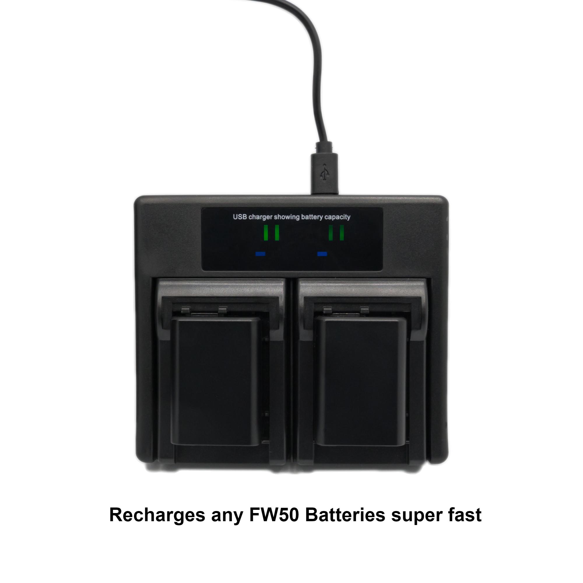 Hridz FW50 Battery Charger for Sony Alpha A7 A7II NEX-3 3N 5 NEX-6 NEX-7 - HRIDZ