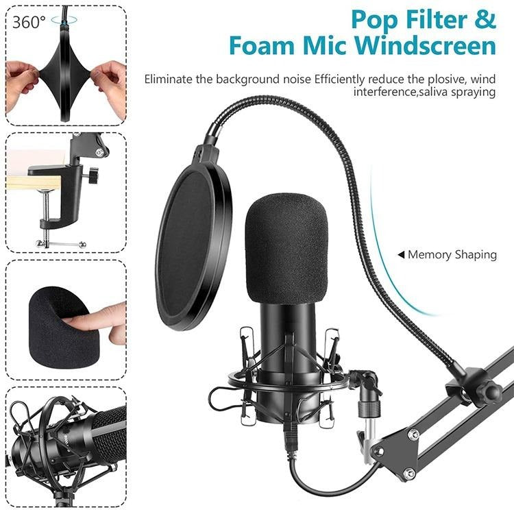 NW-8000 Professional USB Microphone Kit 192kHz/24-Bit Condenser Mic - HRIDZ