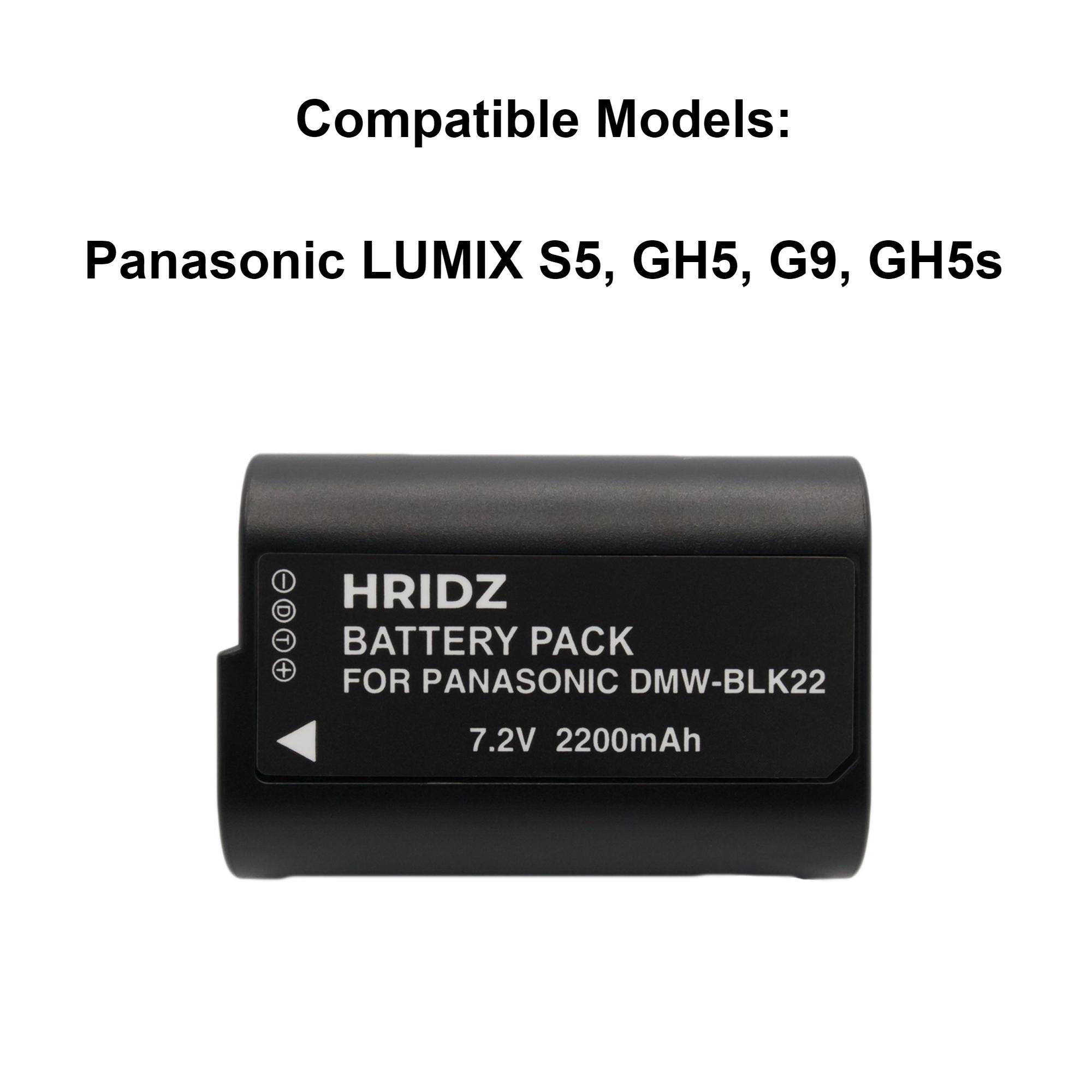 Hridz BLK22 Batteries & Charger for Panasonic Lumix G9 S5 GH6 GH5 GH5s - HRIDZ